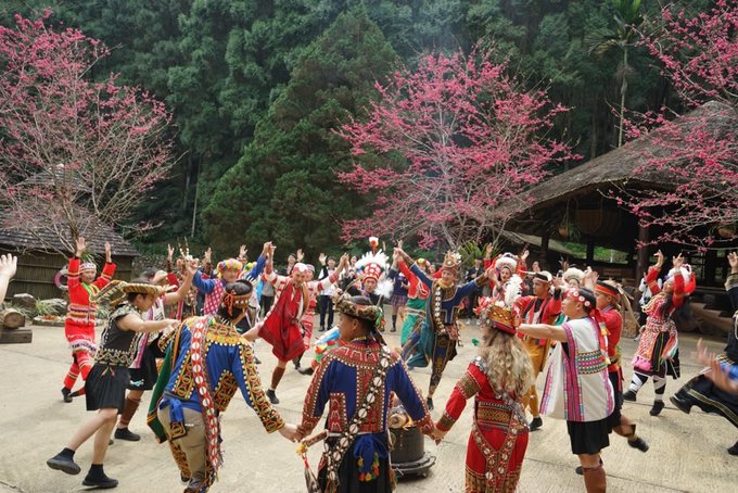 Round Taiwan Round - [ FACV ] Cherry blossoms attract hundreds of thousands  tourists come to FACV (Formosa Cultural Aboriginal Village 九族文化村) in Nantou  County from February to March. Walking through pink