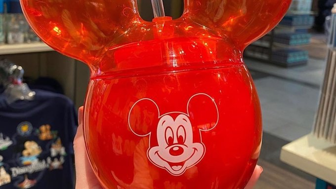 27 BEST DISNEY SOUVENIRS TO PROVE YOUR LOVE FOR MICKEY!