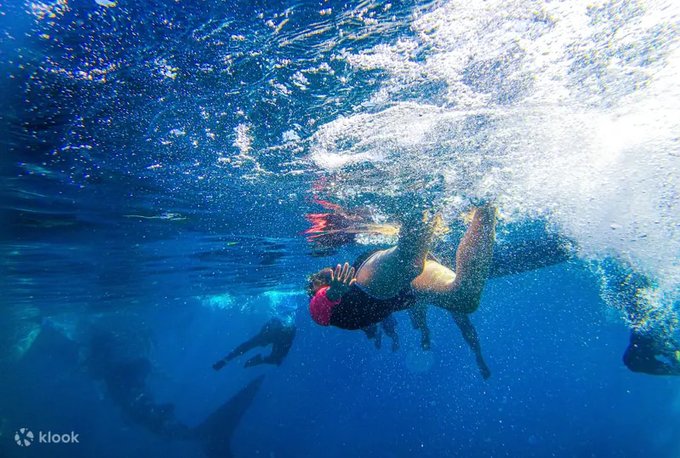 21 Best Scuba Diving Tips For Beginners