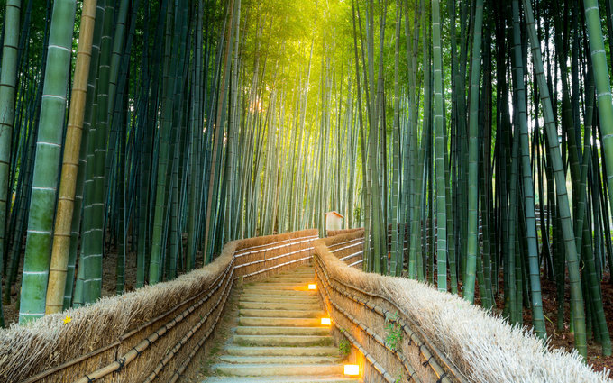 Rừng Trúc Kyoto Arashiyama: Tìm Về Bình Yên Giữa Thiên Nhiên - Klook Blog