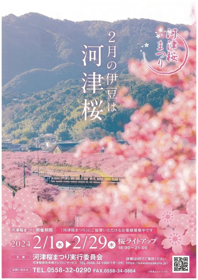 Cherry Blossom In Kawazu: Cherry Blossom Viewing Spots, Kawazu