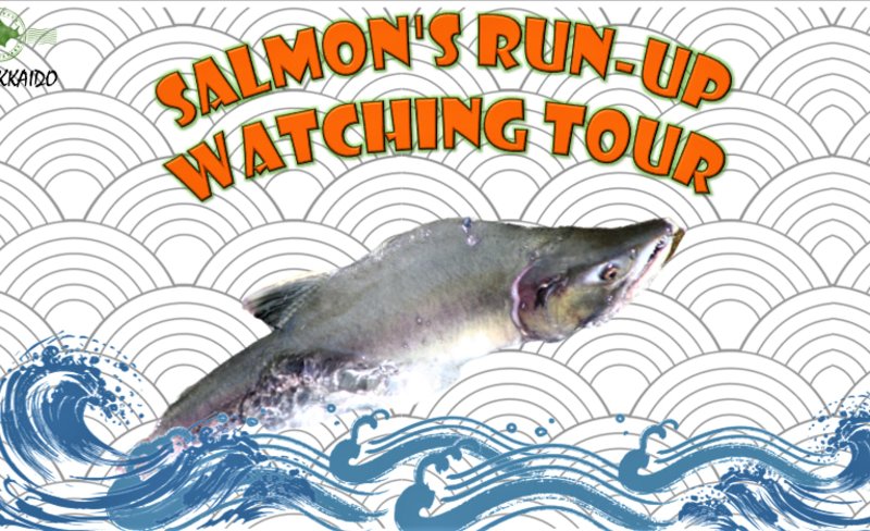 Salmon’s Run-up Watching Tour in Shiretoko