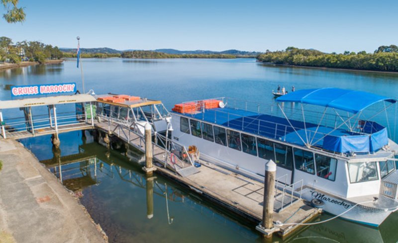 Eco Cruise Along The Majestic Maroochy River