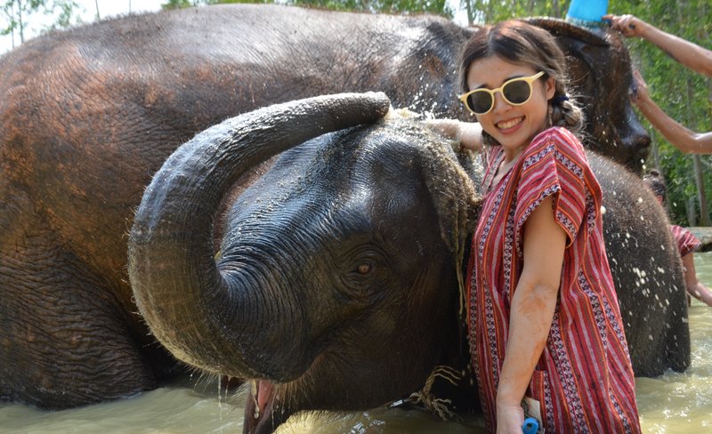Elephant Care Park Experience in Phuket
