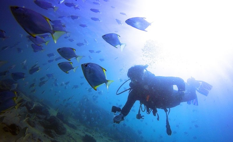 Gold Coast Introductory Scuba Diving Experience