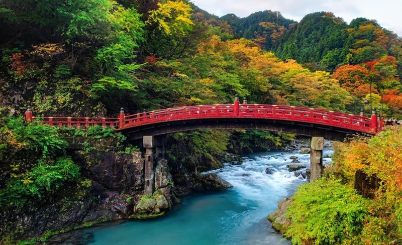 Nikko Sightseeing 10 Hours Private Chartered Car Tour from Tokyo