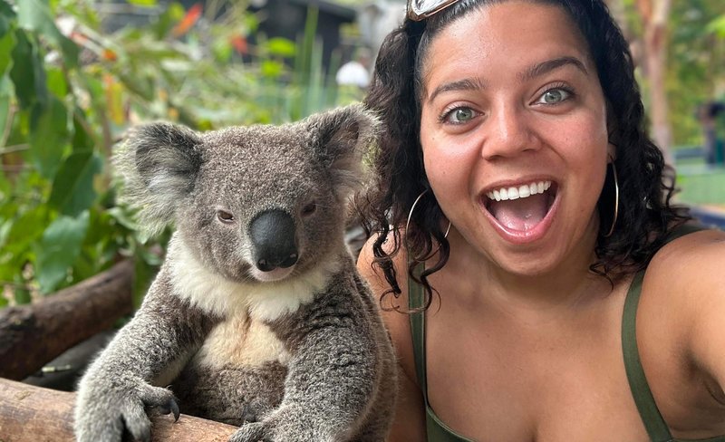 Private Koalas, Kangaroos, and Beaches Day Tour from Sydney