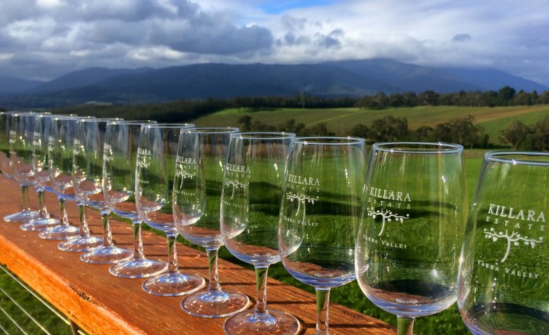 Discover the Yarra Valley Food and Wine Day Tour from Melbourne