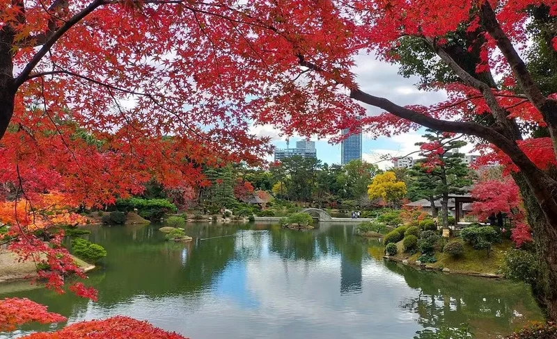 Shukkeien Garden Admission Ticket (Hiroshima)