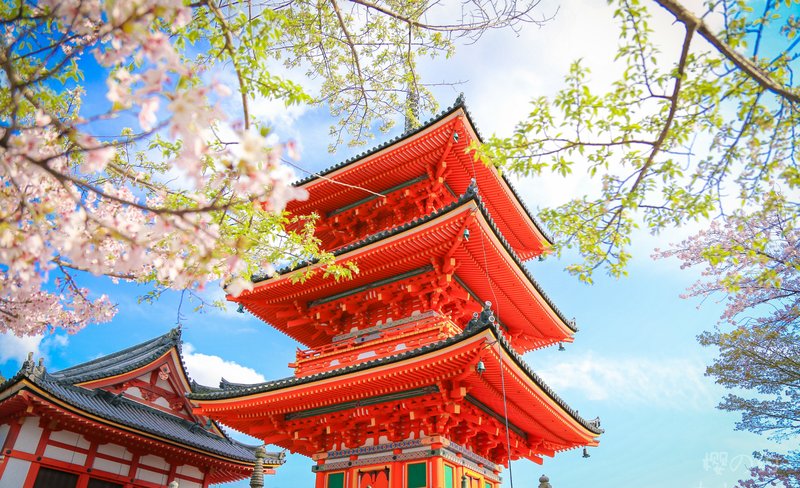 Kinkakuji & Kiyomizu Temple & Fushimi Inari Shrine Kyoto Tour丨Osaka