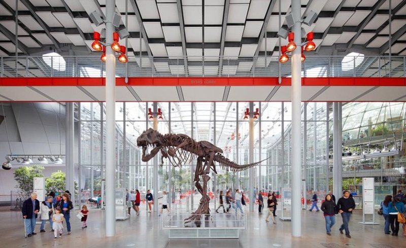California Academy of Sciences Admission Ticket