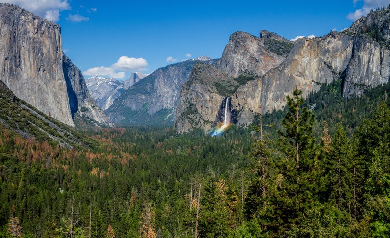 Yosemite Park and Giant Sequoia Day Tour from San Francisco