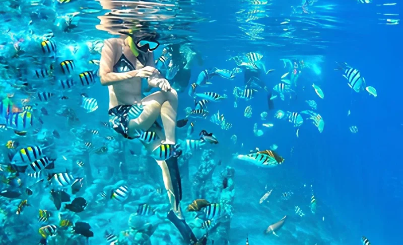Half-Day Private Guided Snorkeling Tour in Gili Islands Lombok