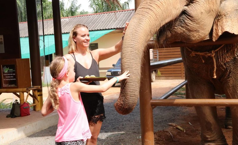 Elephant Feeding Experience in Samui