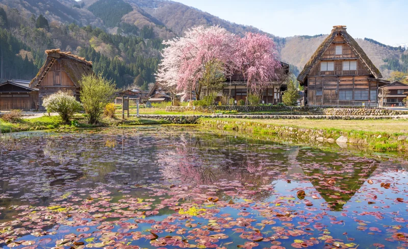Shirakawa-go, Gujo Hachiman & Hida Takayama Full-Day Tour