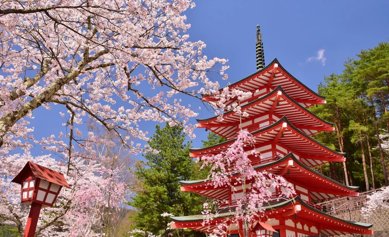 Popular Must-See Six Views of Mount Fuji Day Tour - Asama Park, Lake Kawaguchi, Oshino Hakkai, Lake Yamanaka, Lawson Convenience Store, and Hikawa Clock Shop