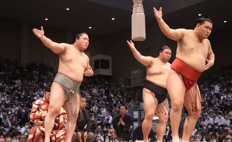 Tokyo Grand Sumo Tournament tour