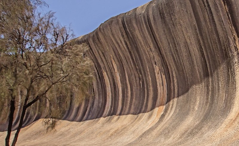 Wave Rock York Wildflowers & Aboriginal Culture Day Tour in Perth