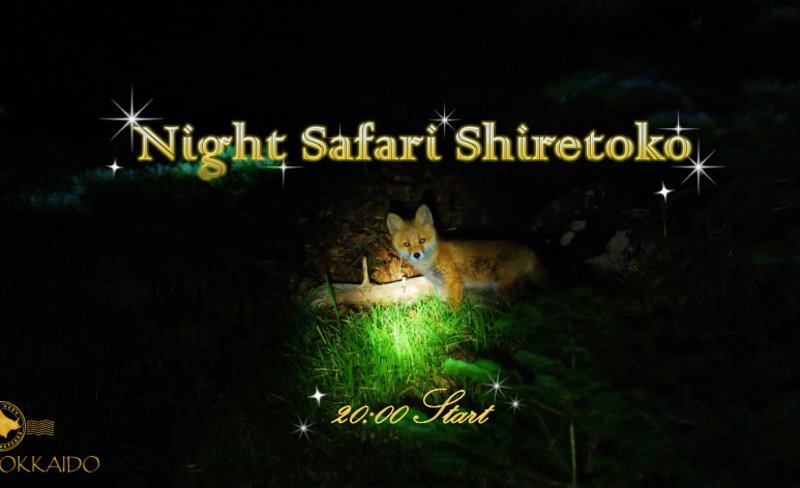 Night Safari Tour in Shiretoko
