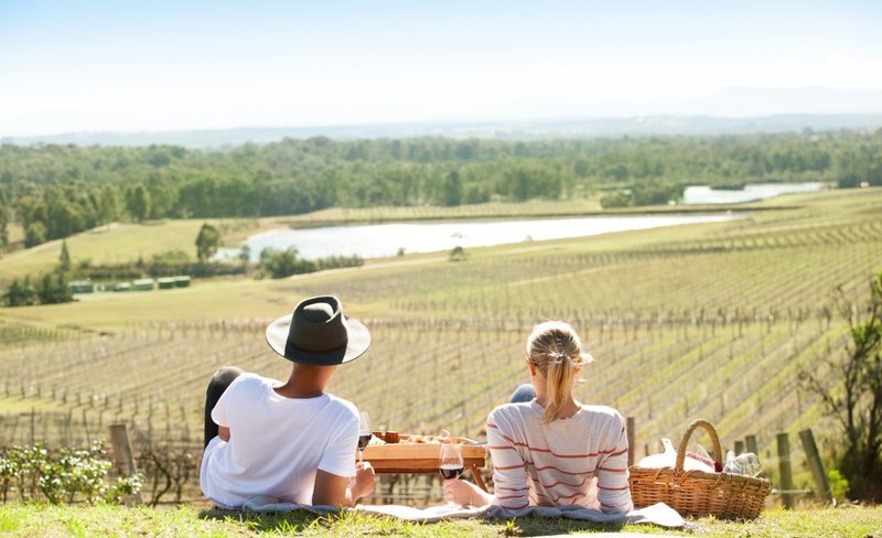 Picnic and Wine Tasting Experience at Audrey Wilkinson Vineyard in the Hunter Valley