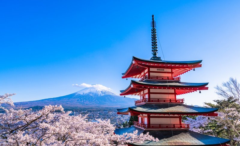 Mount Fuji One-day Tour by Chartered Car
