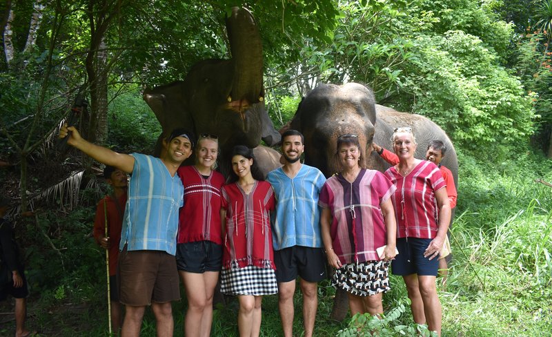 Elephant Discovery Experience in Chiang Mai with Transfers