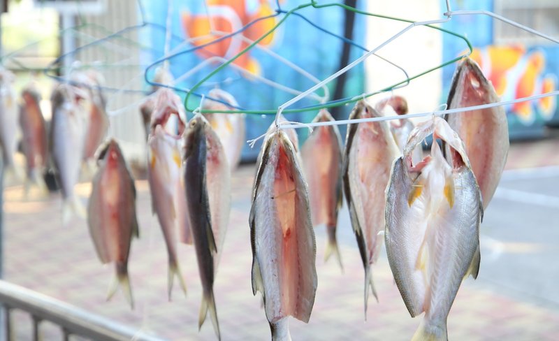 Do-It-Yourself Fourfinger Threadfin – Fishing Village Storage Skills