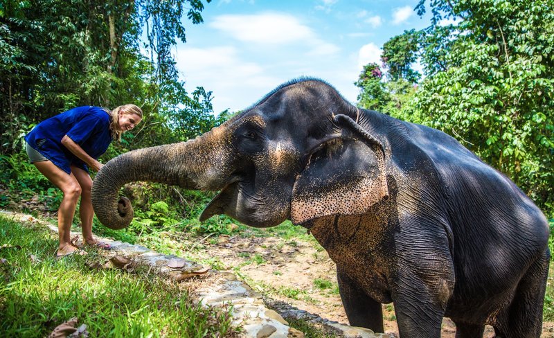Phang Nga Elephant Park Adventure Experience with Round Trip Transfer
