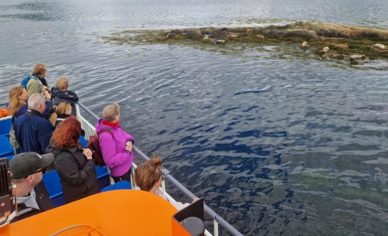 Seal island cruise experience in Fort William