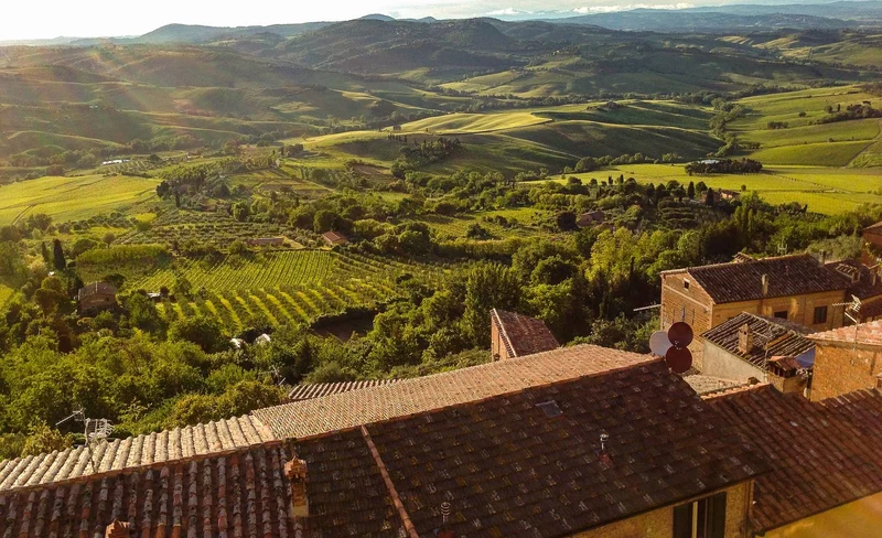 Wine tasting tour in Montepulciano with lunch in wine cellar