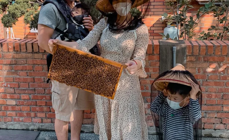 新竹竹北｜愛蜂園｜蜜蜂生態導覽體驗