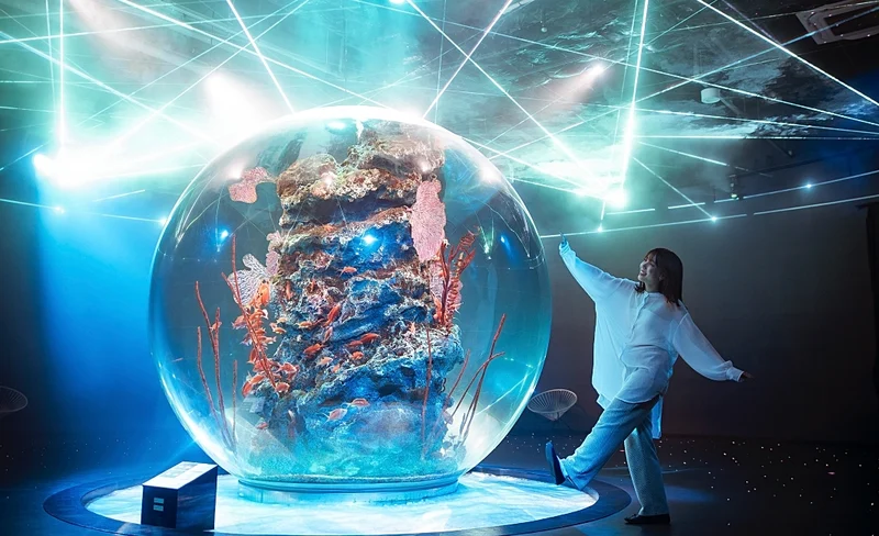 Kobe Urban Aquarium AQUARIUM ART atoa Admission Ticket