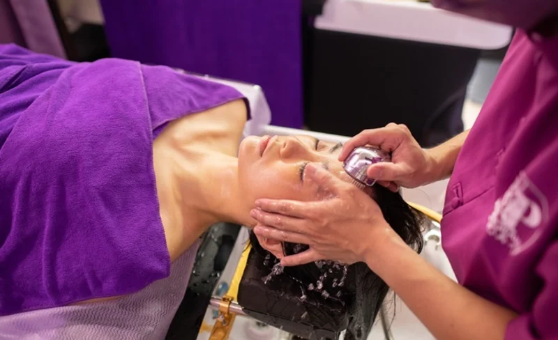Purple Beauty Authentic Vietnamese Hair Wash – Chiayi Branch