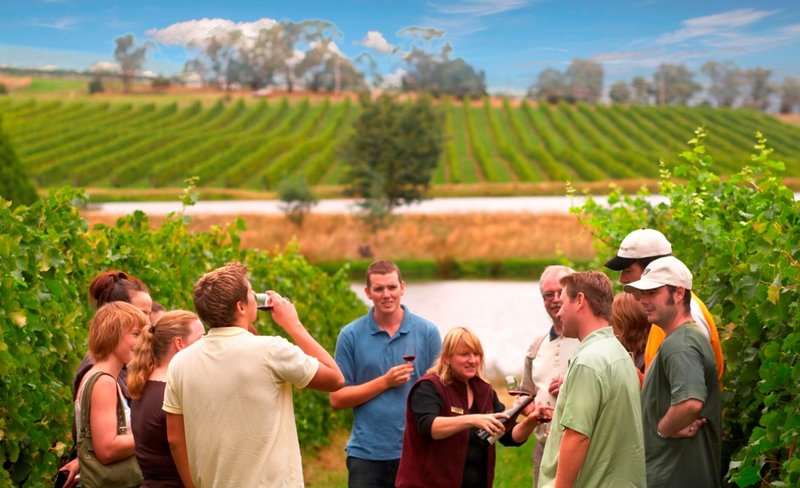 Yarra Valley Wine Experience Day Tour from Melbourne