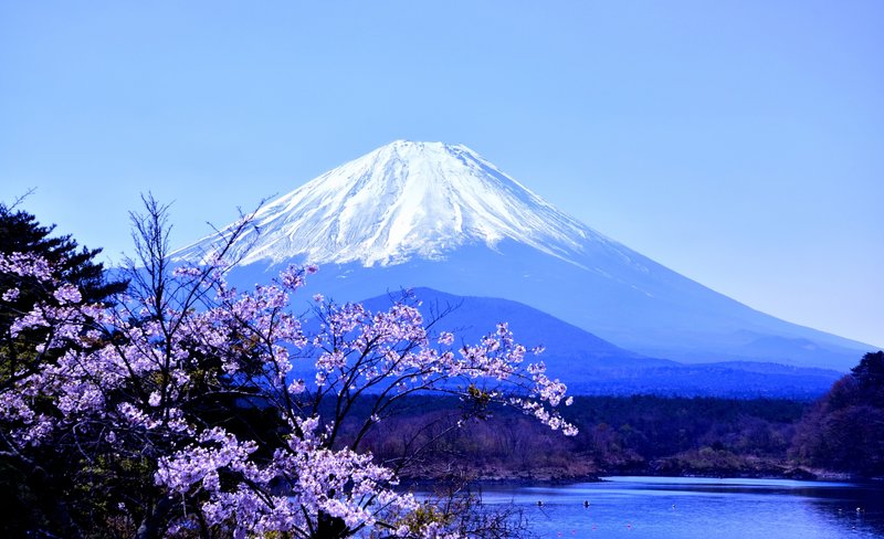 Mt Fuji Day Tour from Tokyo