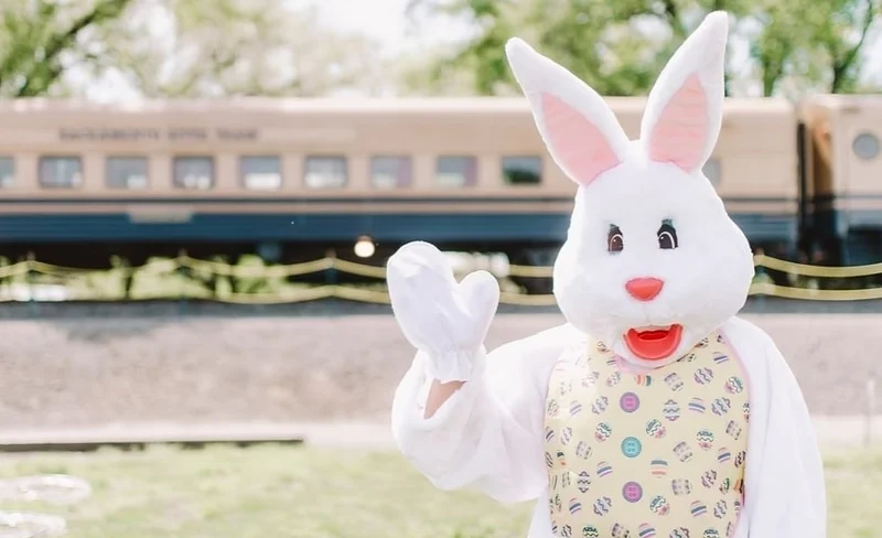 Scenic River Fox Train Rides Along the Sacramento River