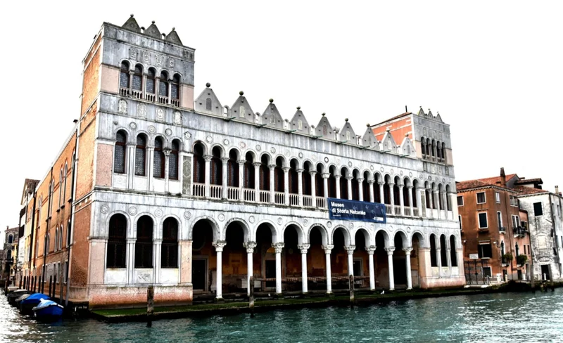 Natural History Museum Ticket in Venice