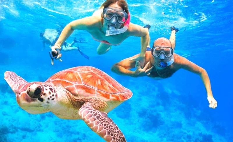Blue Lagoon Snorkeling & Ubud Highlights Tour With Transfer