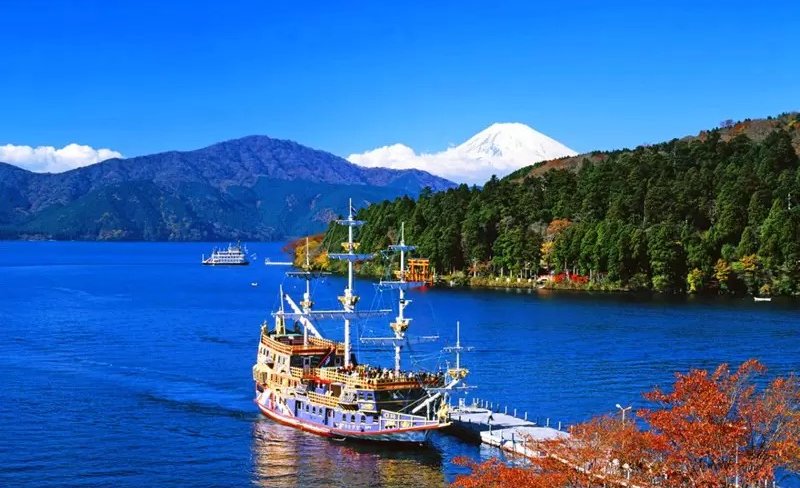 Hakone one-day tour by chartered car (from Tokyo)