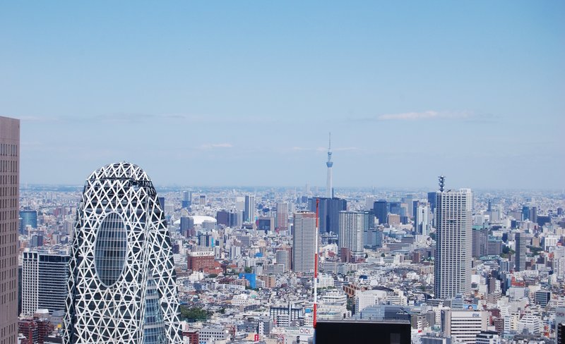 Tokyo City, Meiji Shrine & Tokyo Skytree Bus Tour with Cruise Experience