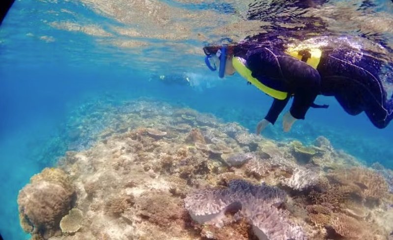 Snorkeling & Mermaid Photoshoot Experience in Kunigami