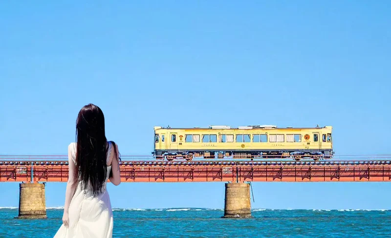 Kyoto - Tango Sea Train & Amanohashidate Cable Car & Ine Boathouse Boat Tour (Departure from Osaka)