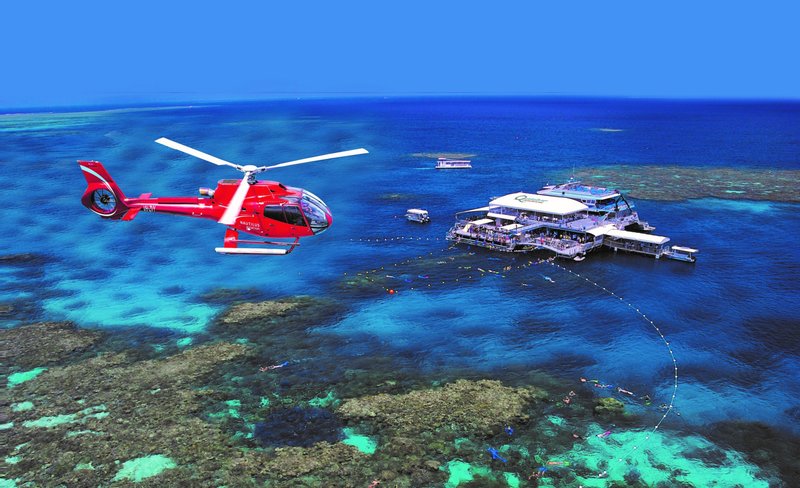 Fly and Cruise Combo: Great Barrier Reef Cruise and Scenic Flight from Port Douglas