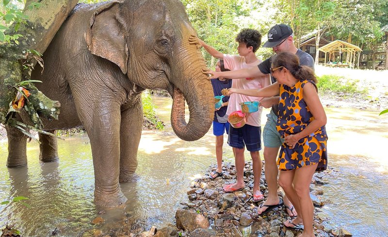 Half-Day Tour to Krabi Elephant Care House & Swimming at Huay To Waterfall