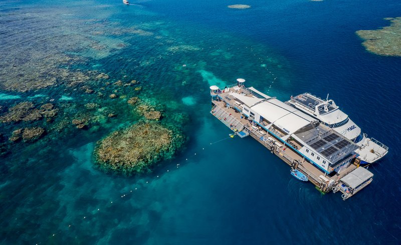 Reef Magic Pontoon Cruise Tour from Cairns