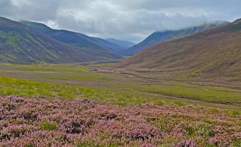 Western Cairngorms and Aviemore Full-Day Coach Tour from Inverness