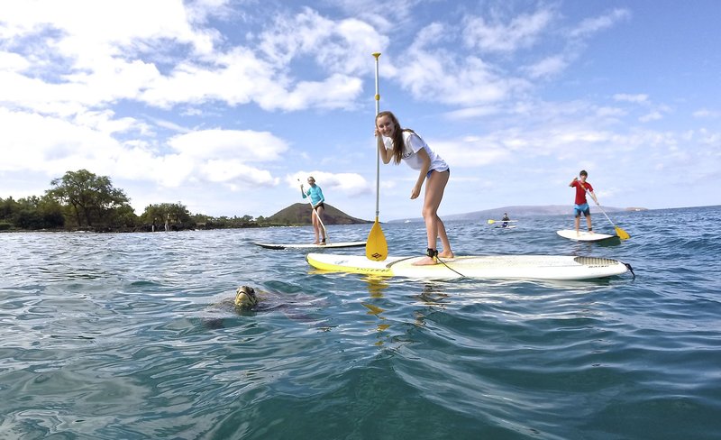 Stand Up Paddle Board Lesson in Melbourne