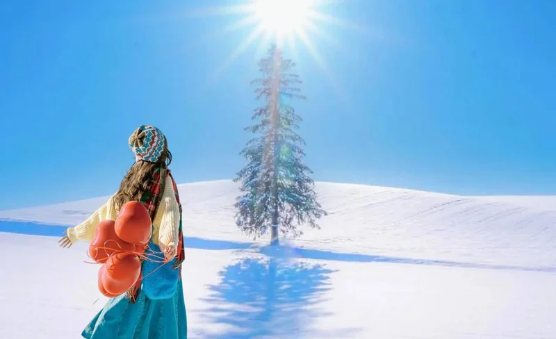 [Winter Limited] Hokkaido Asahiyama Zoo x Blue Pond x Shirahige Falls x Internet-famous Christmas Tree Day Trip (Departure from Sapporo)