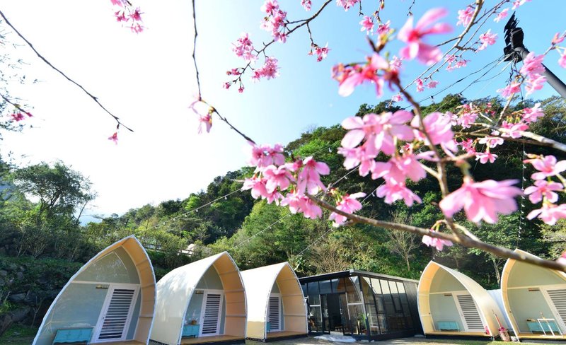 Miaoli Camping｜Mountain and Secret Camping Area｜Rainbow Container Hut Camping Experience