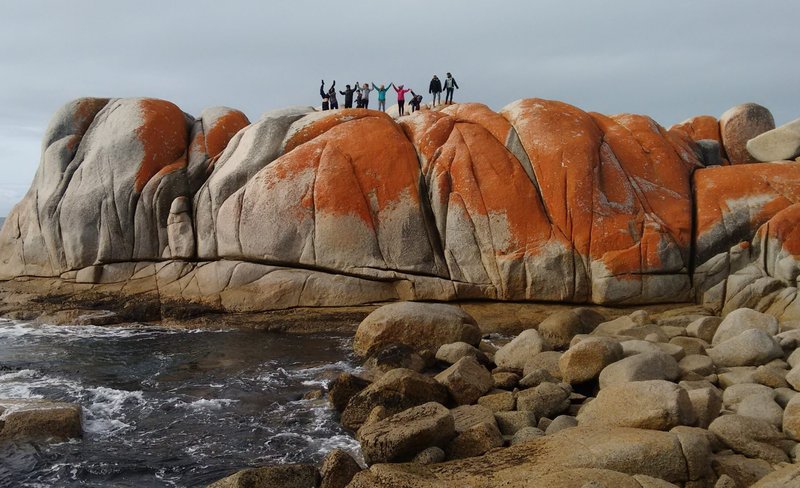 7D6N Grand Tasmania Small Group Guided Tour from Hobart